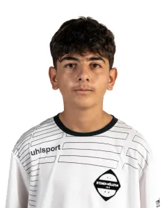 Emir Sabri Sürücü